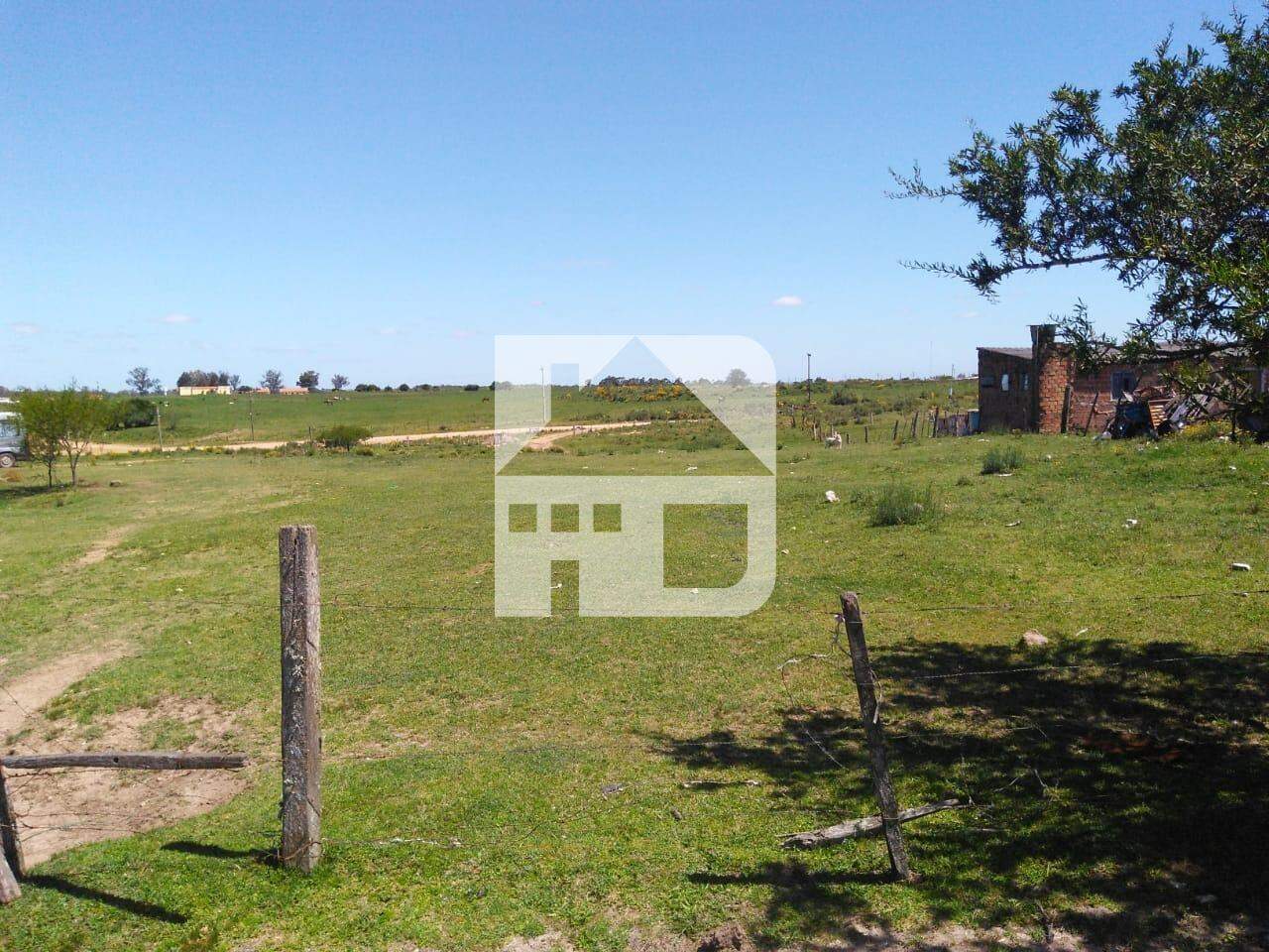 Terreno à venda no Prado Velho: