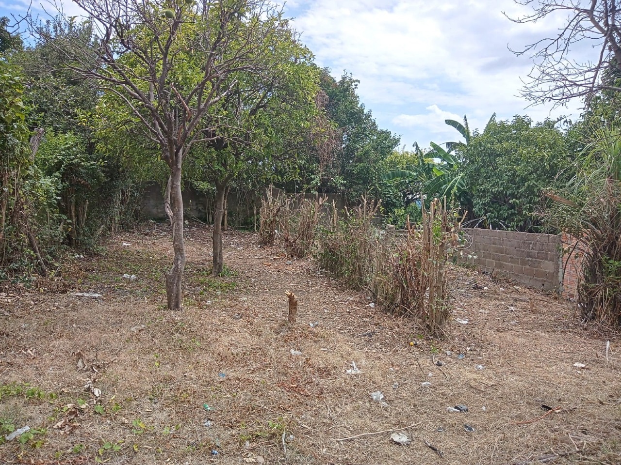 Casa à venda no Estrela D’Alva: 