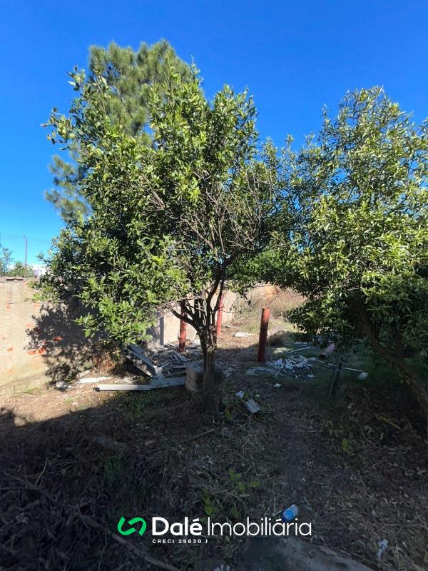 Casa para aluguel no Centro: 