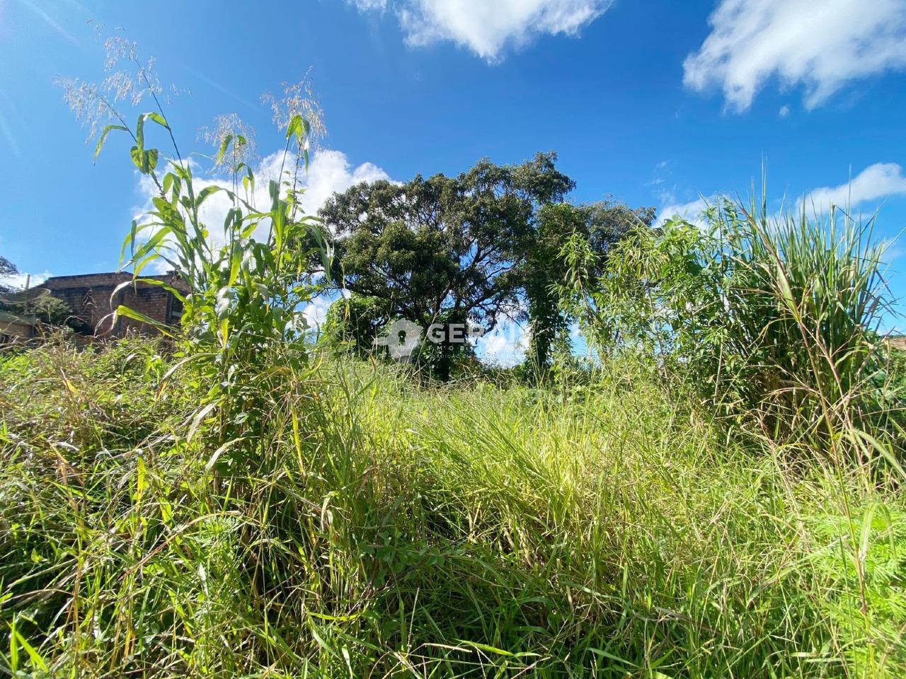 Lote à venda no TERRA AZUL: 03- LOTE