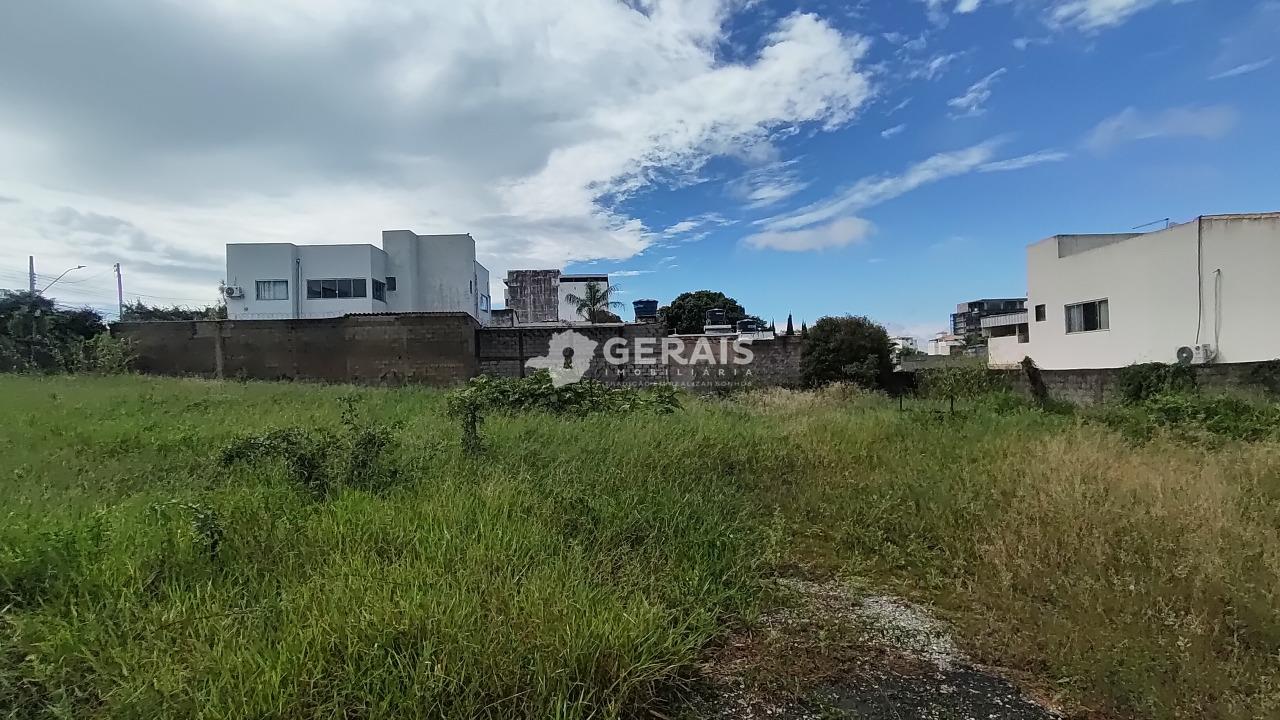 Lote para aluguel no ALVORADA: 06- LOTE
