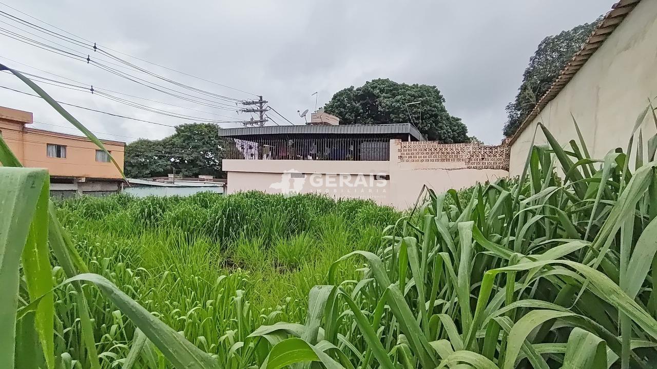 Lote para aluguel no PORTO VELHO: 06- LOTE