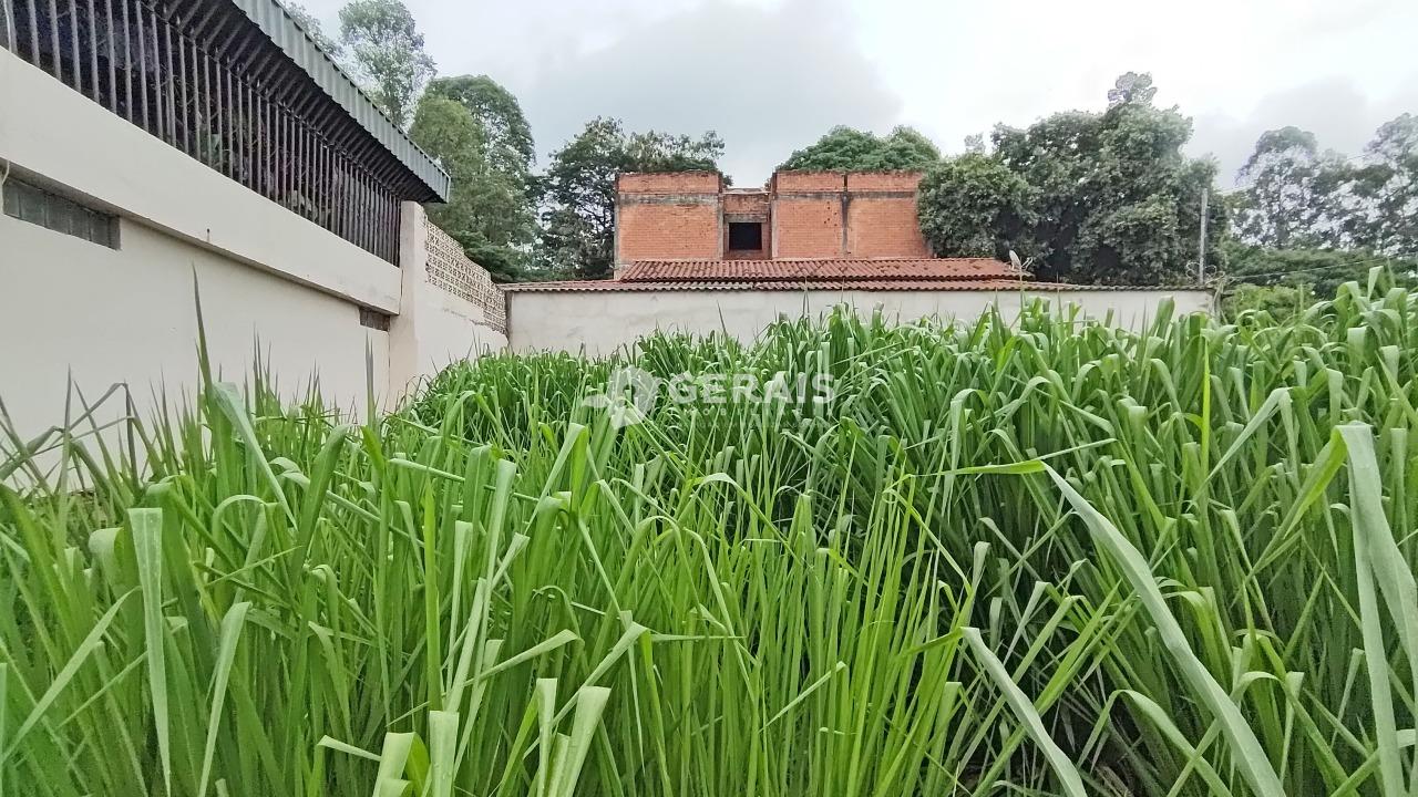 Lote para aluguel no PORTO VELHO: 03- LOTE