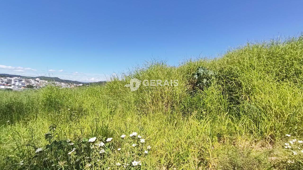 Lote para aluguel no RANCHO ALEGRE: 03- LOTE