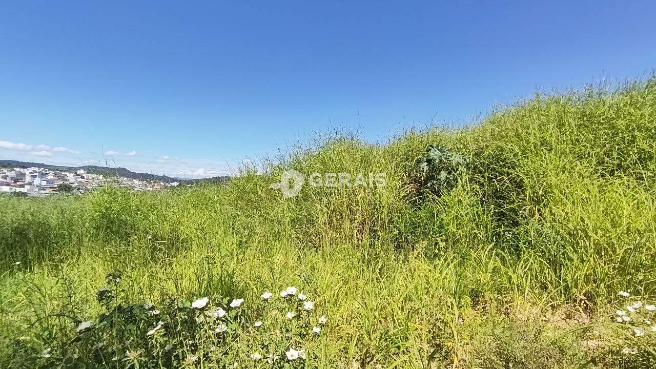 Lote para aluguel no RANCHO ALEGRE: 03- LOTE