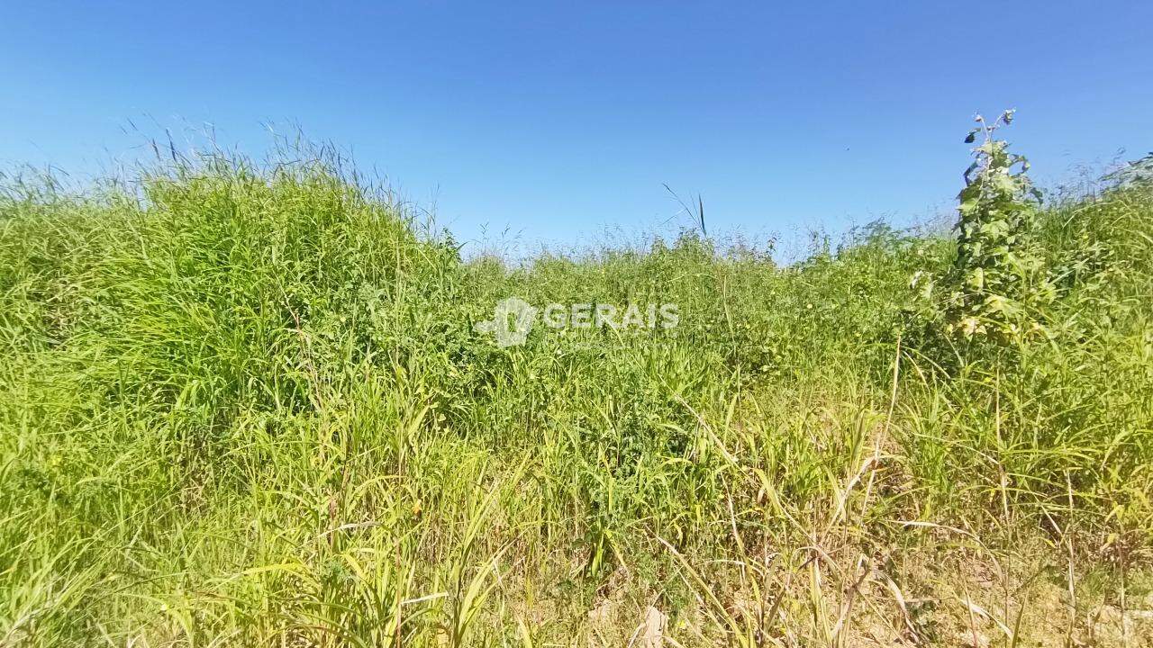 Lote para aluguel no RANCHO ALEGRE: 04- LOTE