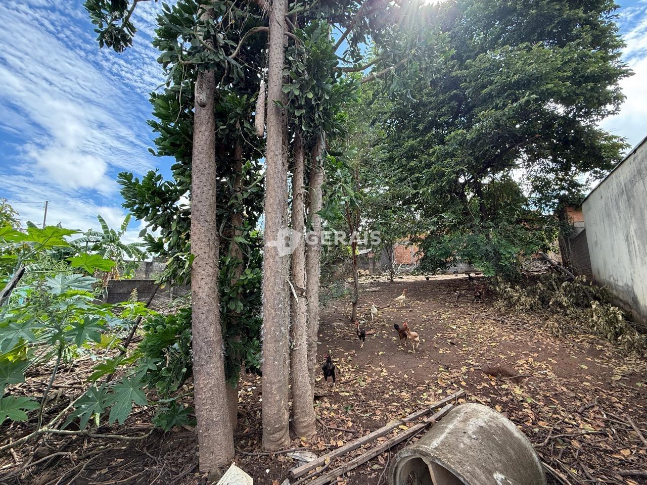 Lote à venda no SANTA ROSA: 03 - LOTE