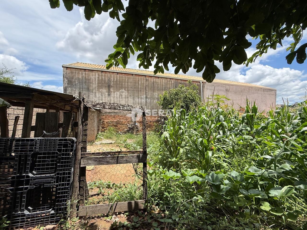 Lote à venda no JUZA FONSECA: 06- LOTE