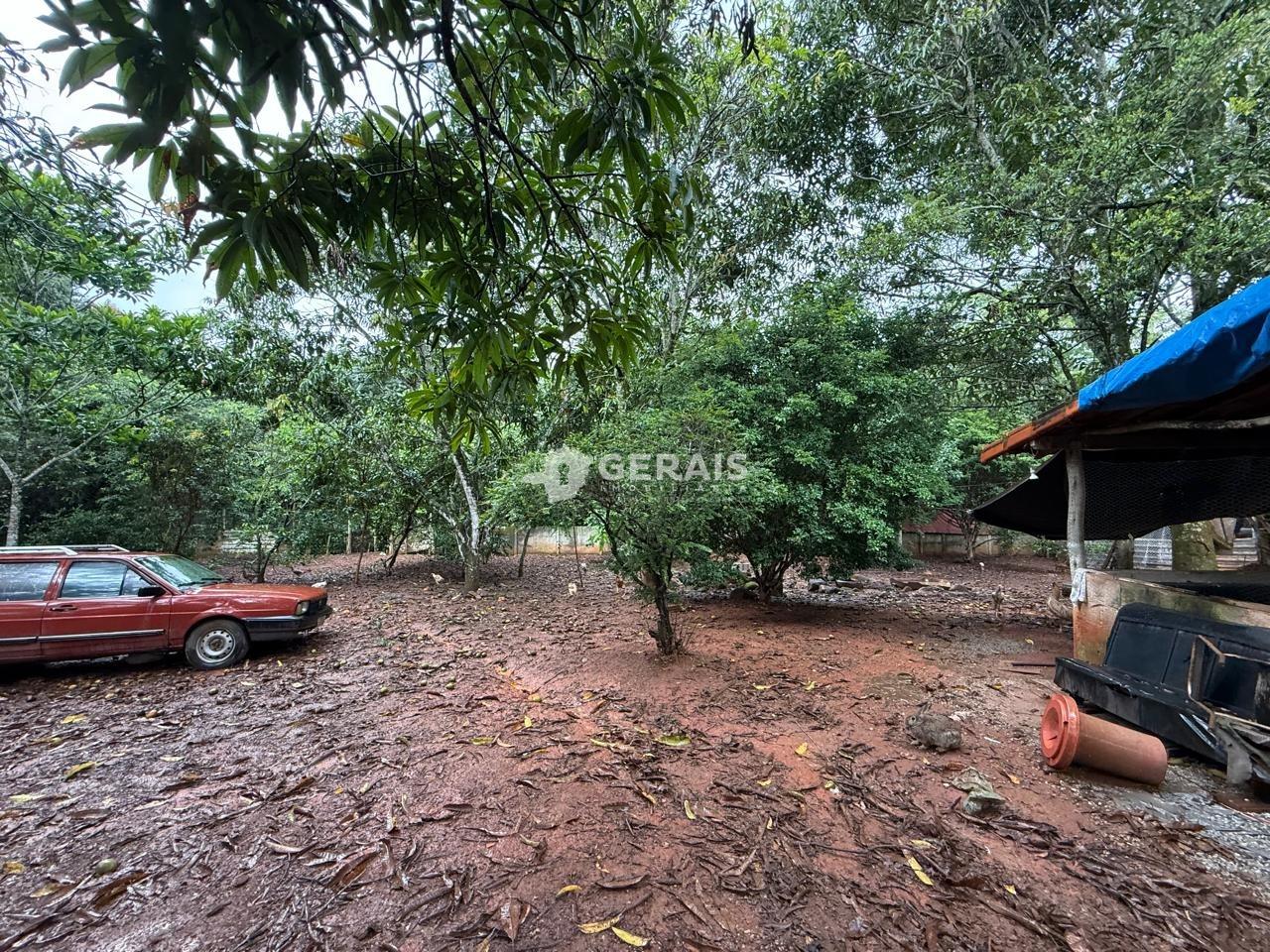 Terreno à venda no SANTO ANTÔNIO DOS CAMPOS (ERMIDA): 04 - LOTE
