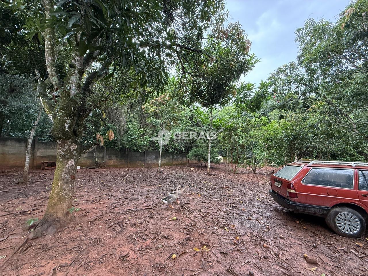 Terreno à venda no SANTO ANTÔNIO DOS CAMPOS (ERMIDA): 06 - LOTE
