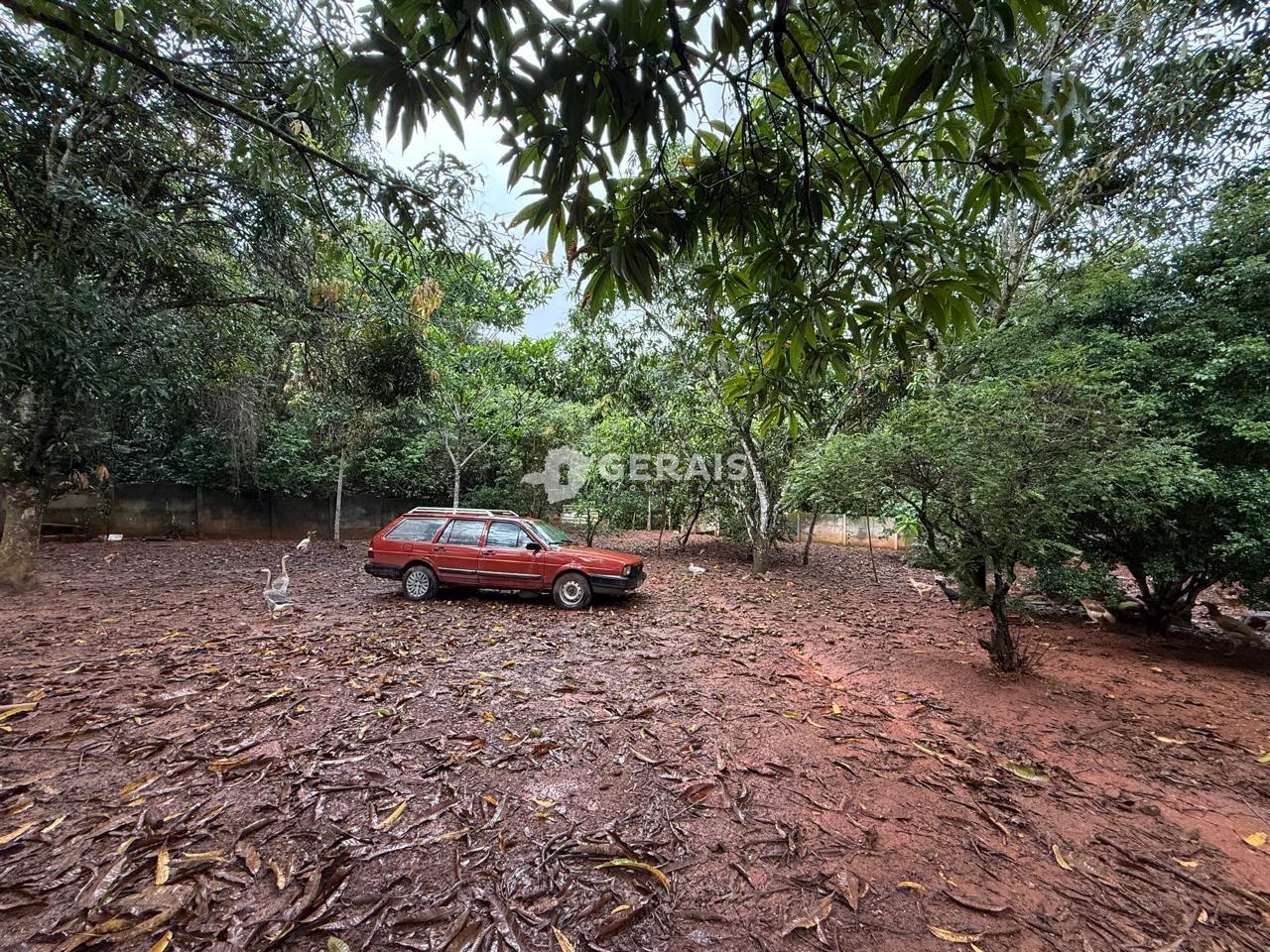 Terreno à venda no SANTO ANTÔNIO DOS CAMPOS (ERMIDA): 05 - LOTE