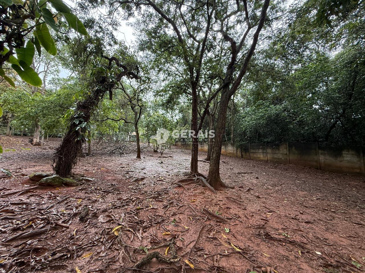 Terreno à venda no SANTO ANTÔNIO DOS CAMPOS (ERMIDA): 07 - LOTE