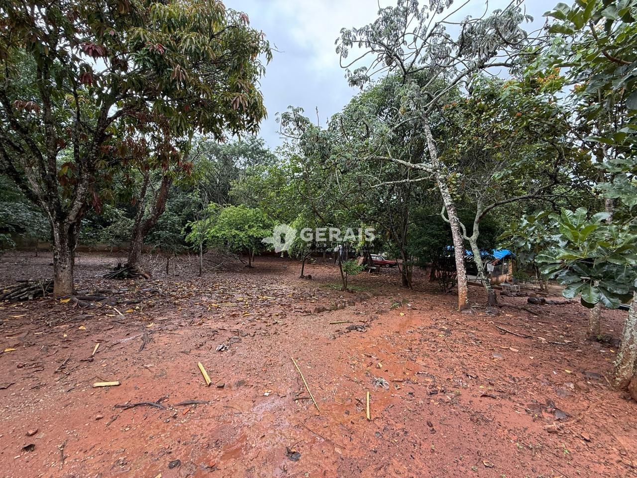 Terreno à venda no SANTO ANTÔNIO DOS CAMPOS (ERMIDA): 08 - LOTE