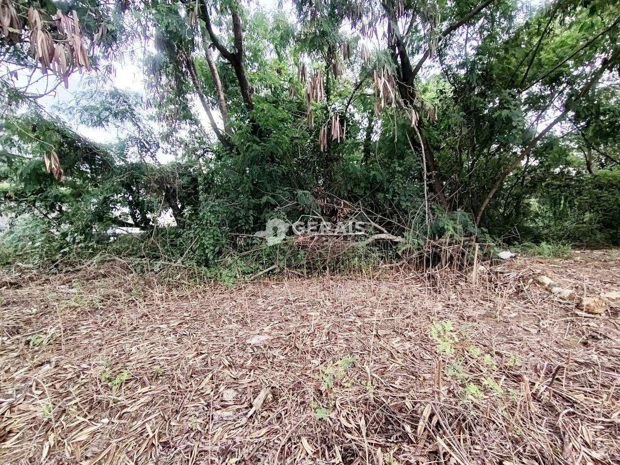 Lote para aluguel no IPIRANGA: 04- LOTE