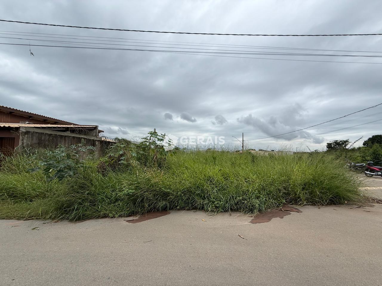 Lote à venda no MARIA PECANHA: 02 - LOTE