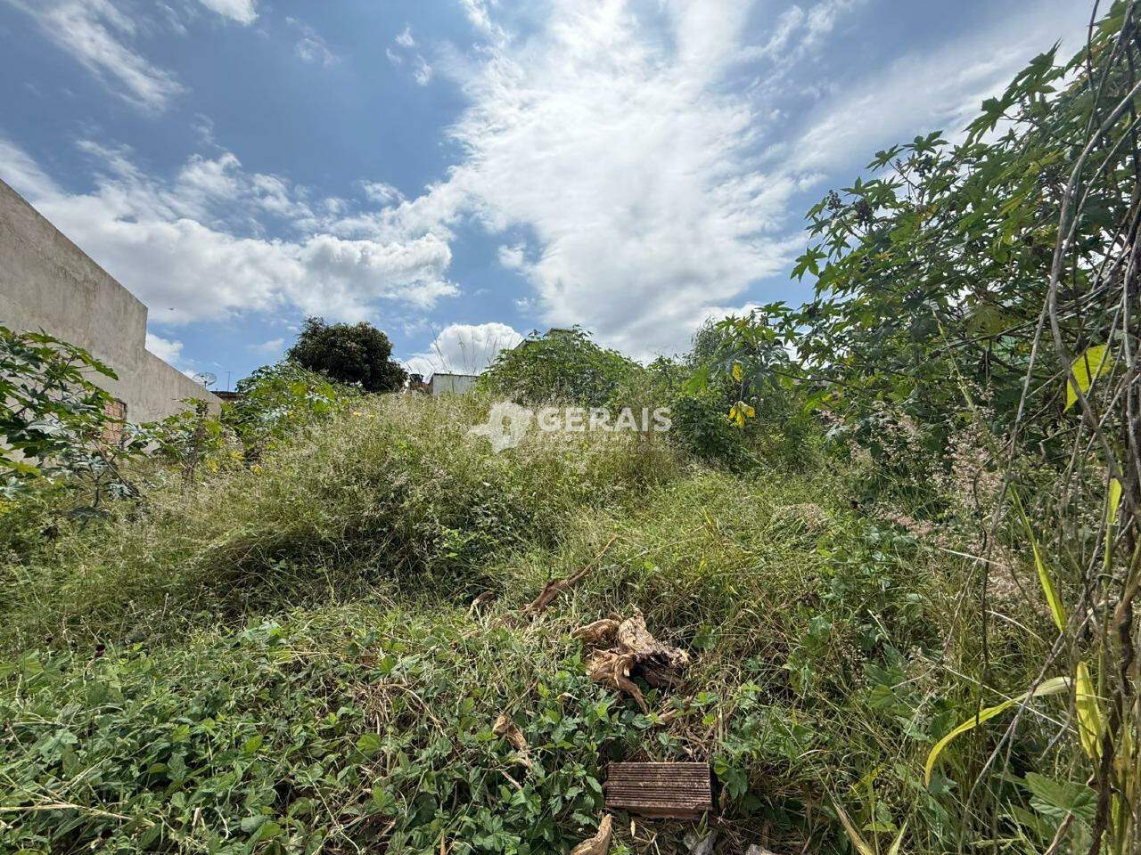 Lote à venda no PARAÍSO: 01 - LOTE