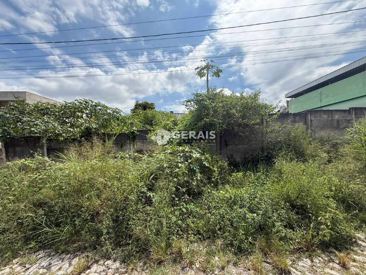 Lote à venda no PARAÍSO: 01 - LOTE