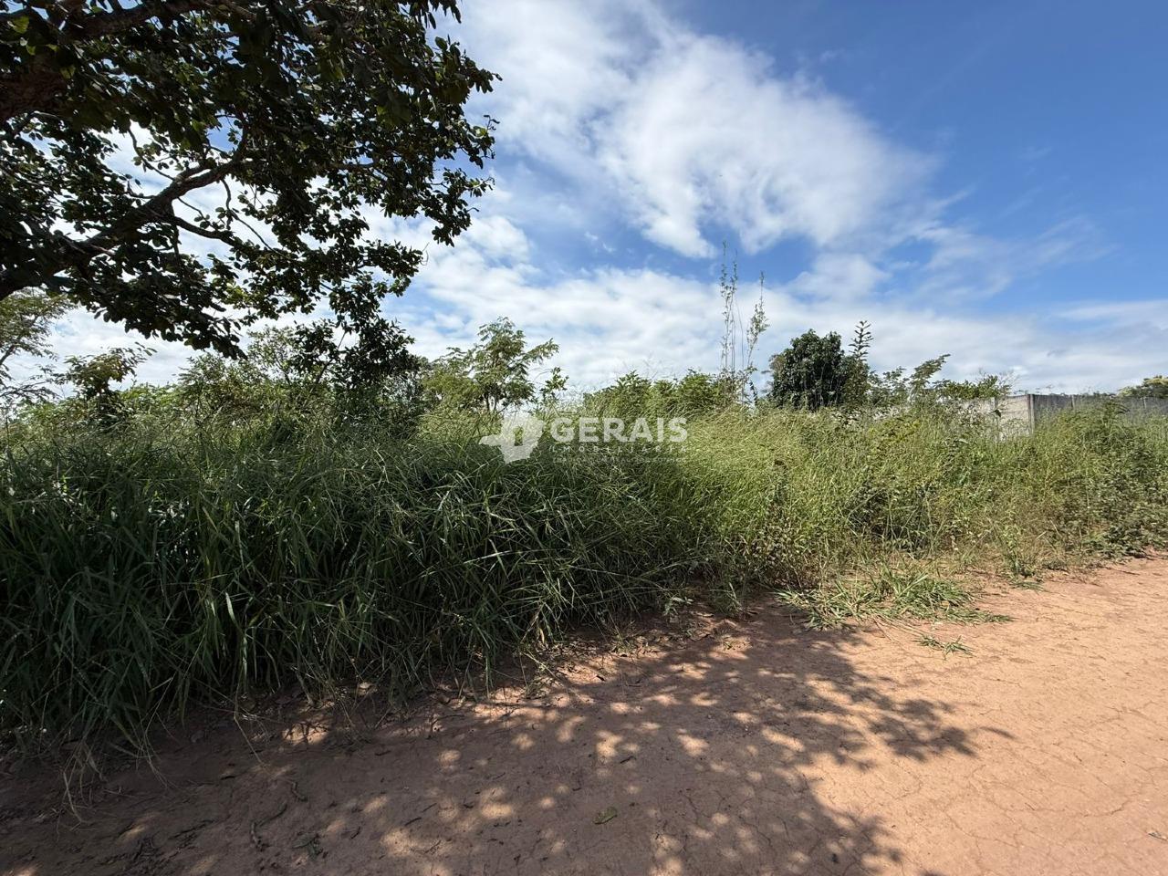 Lote à venda no SAO BENTO: 01 - LOTE