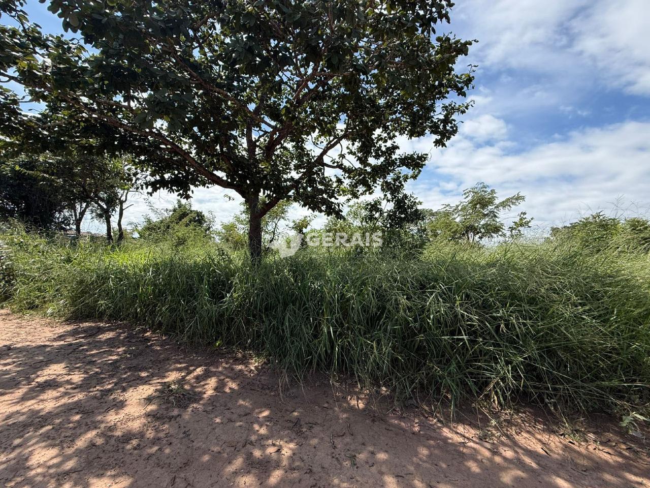 Lote à venda no SAO BENTO: 02 - LOTE