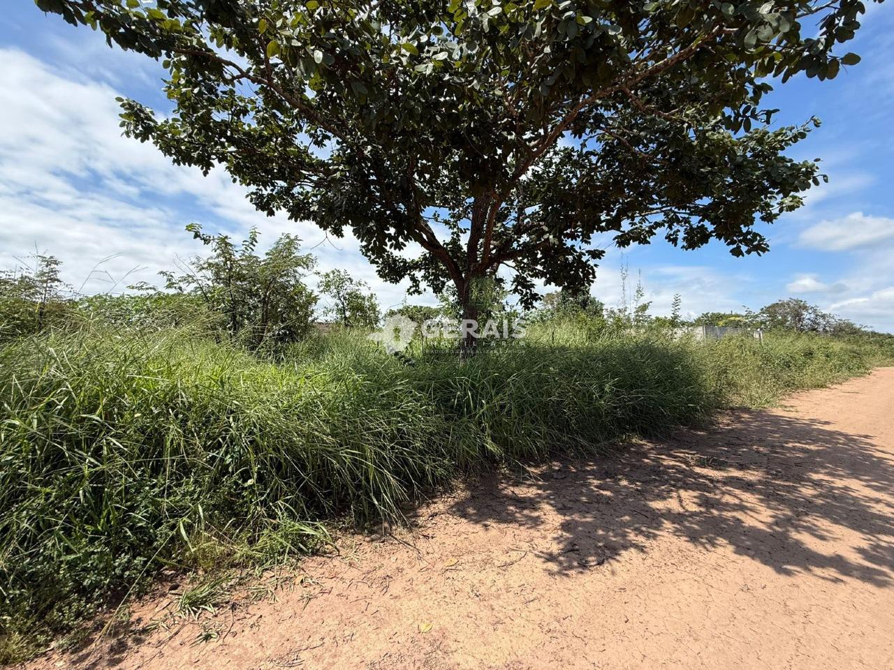 Lote à venda no SAO BENTO: 03 - LOTE