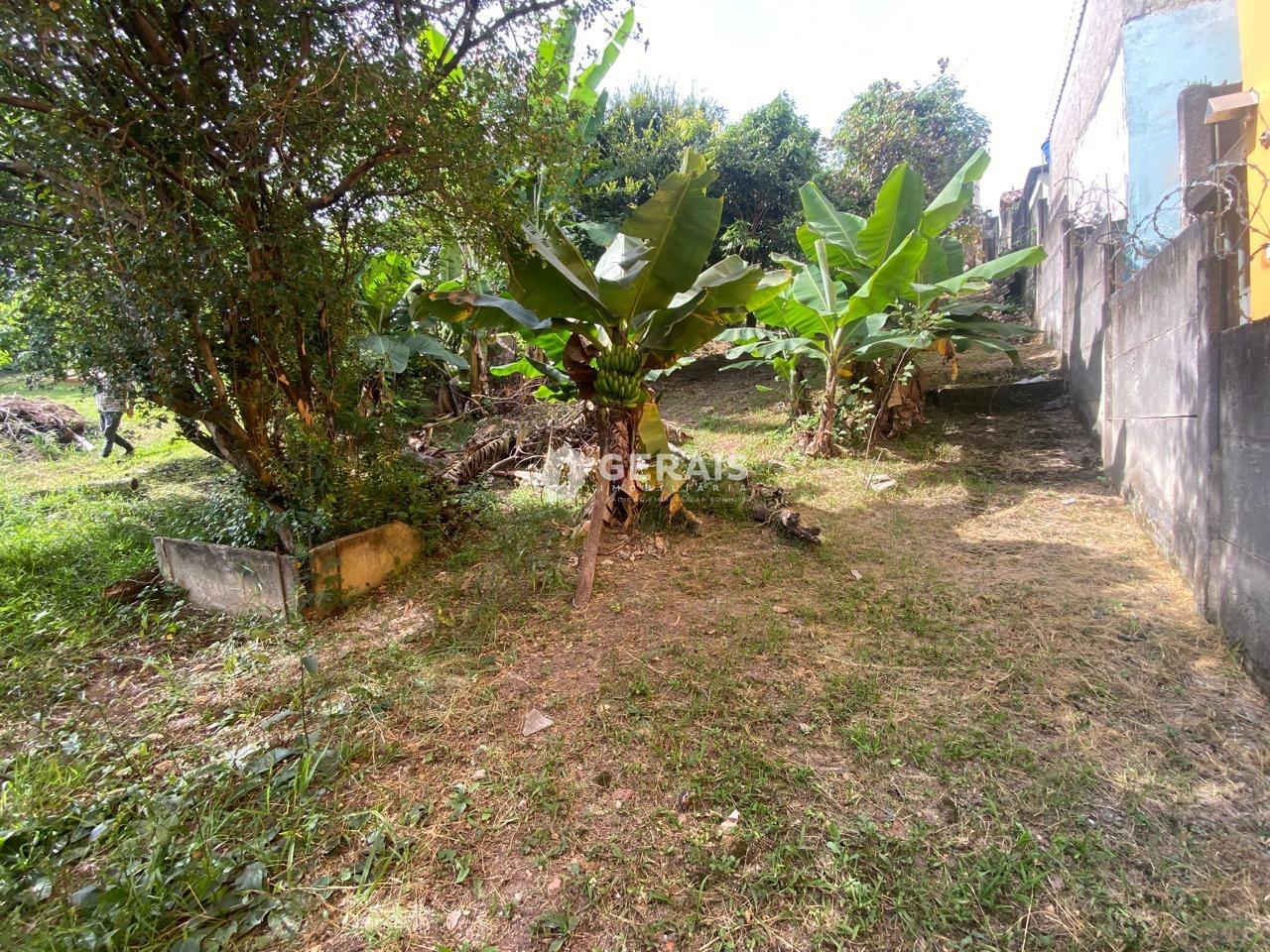 Lote à venda no SÃO JOÃO DE DEUS: 04- LOTE