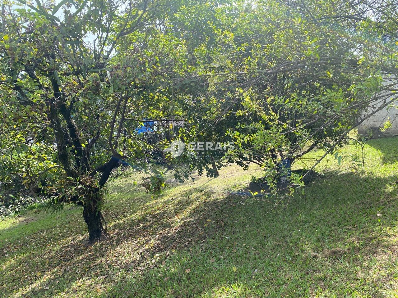 Lote à venda no SÃO JOÃO DE DEUS: 03 - LOTE