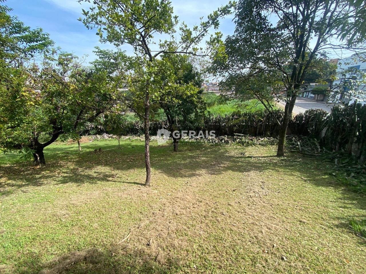 Lote à venda no SÃO JOÃO DE DEUS: 03- LOTE