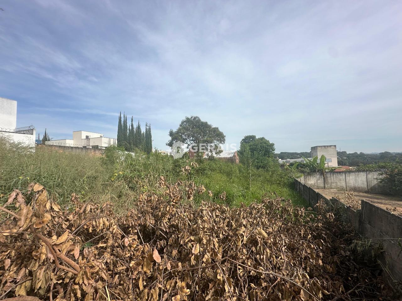 Lote à venda no JARDIM DAS OLIVEIRAS: 03- LOTE