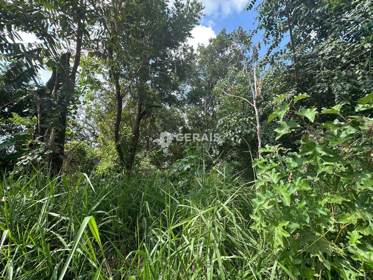 Lote à venda no NOVA SUICA: 02 - LOTE