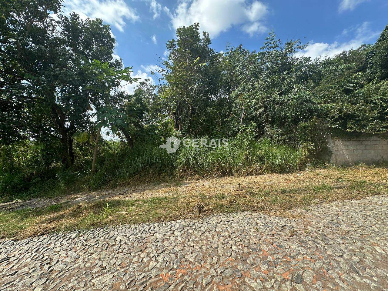 Lote à venda no NOVA SUICA: 01 - LOTE