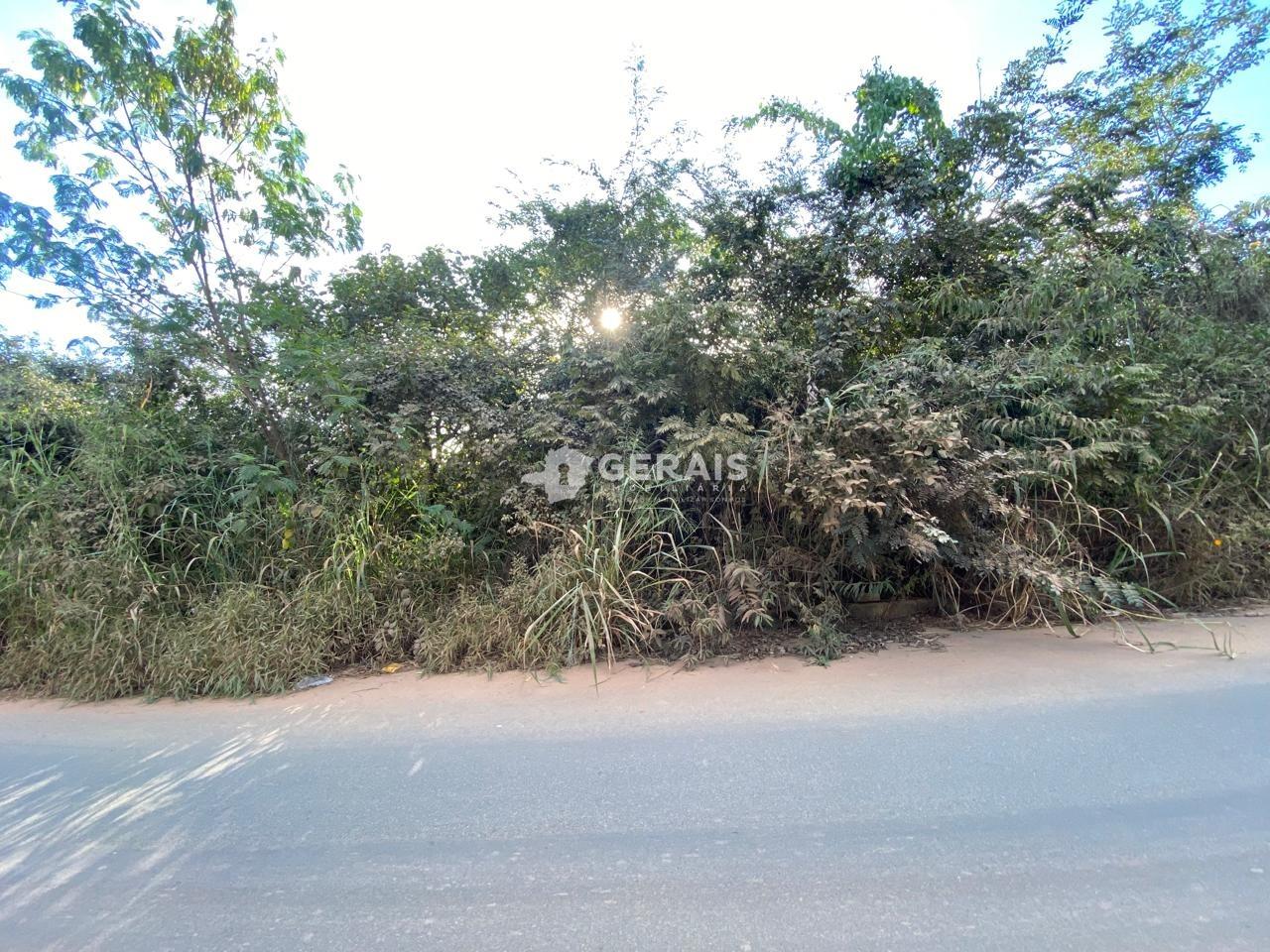 Lote à venda no GRAJAU: 01 - LOTE