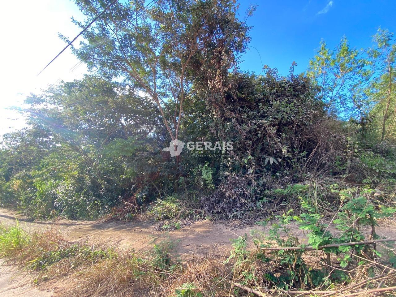 Lote à venda no GRAJAU: 02 - LOTE