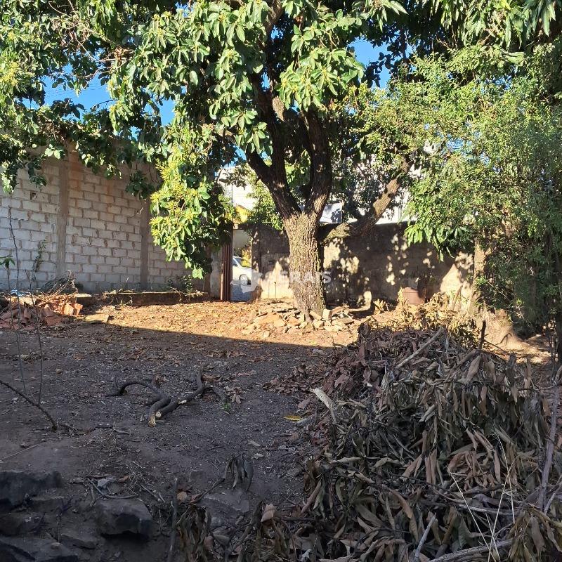 Lote à venda no PORTO VELHO: 03- LOTE