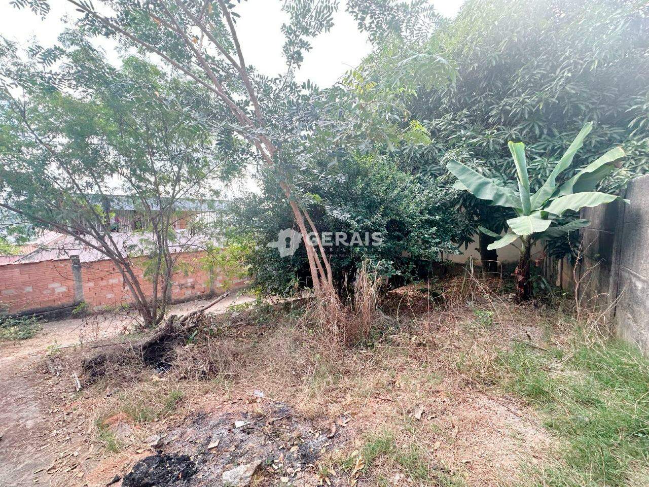 Lote à venda no SÃO JOSÉ: 05 - LOTE