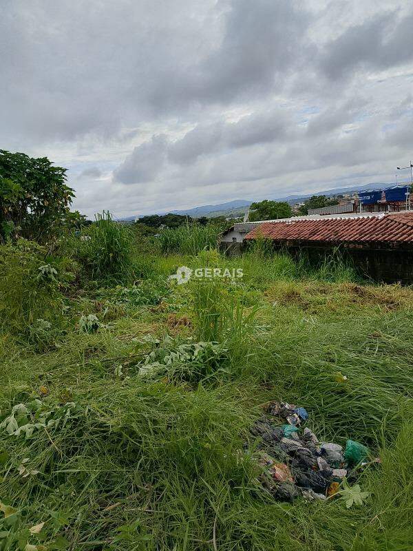 Lote à venda no SANTA LÚCIA: 04- LOTE
