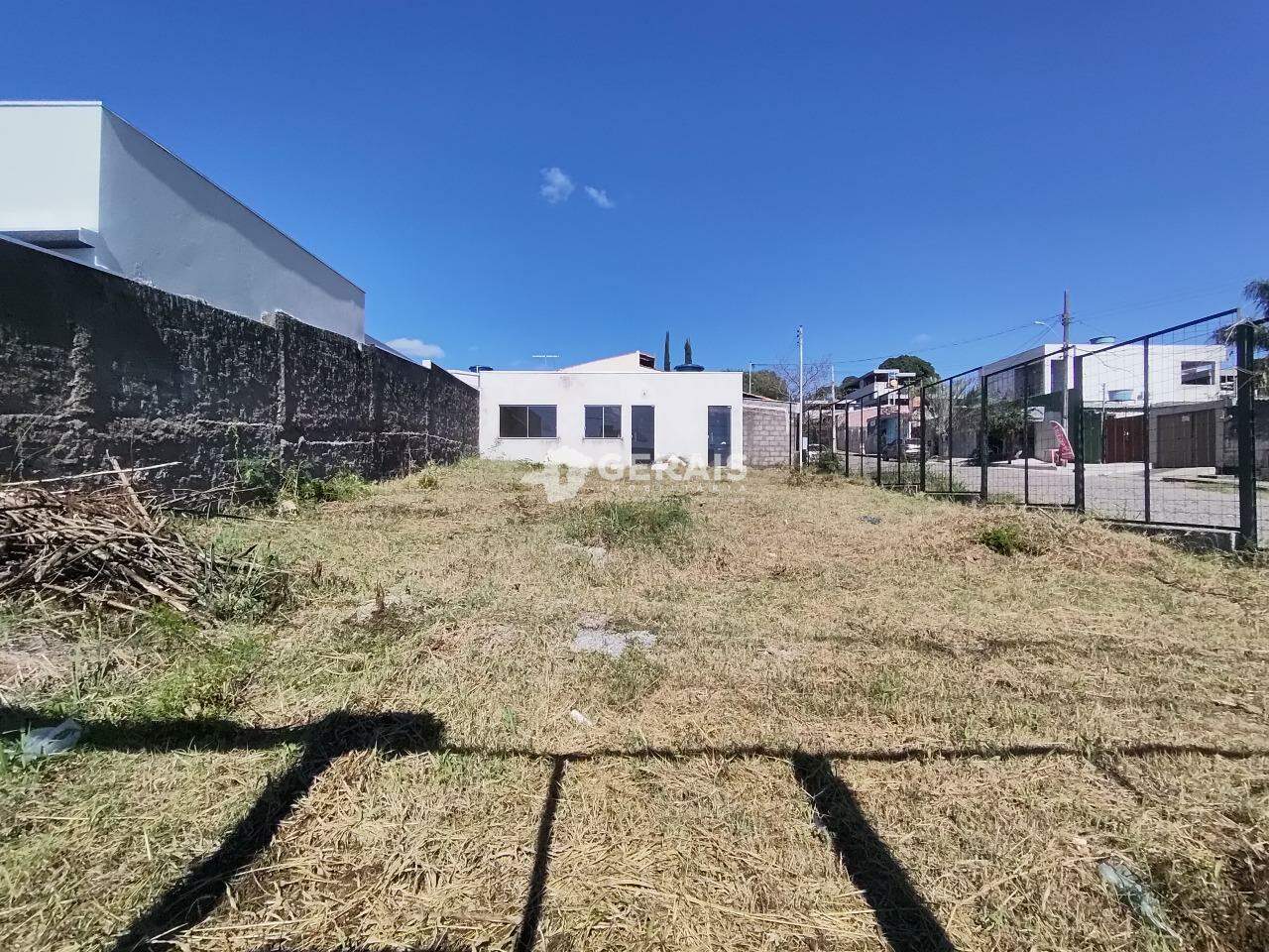 Lote para aluguel no SAGRADA FAMILIA: 07- LOTE