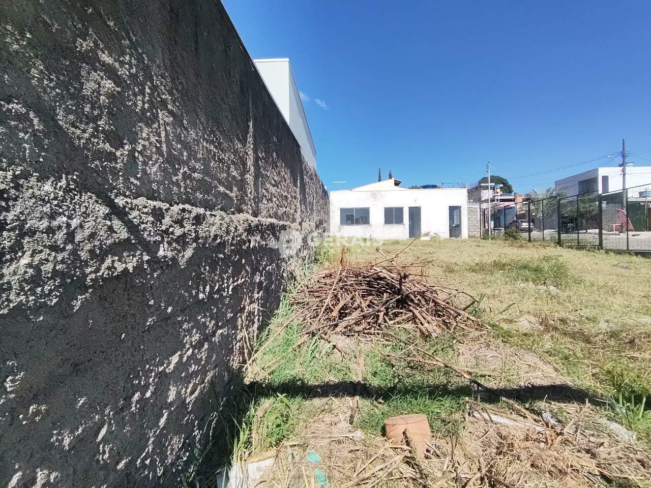 Lote para aluguel no SAGRADA FAMILIA: 06- LOTE