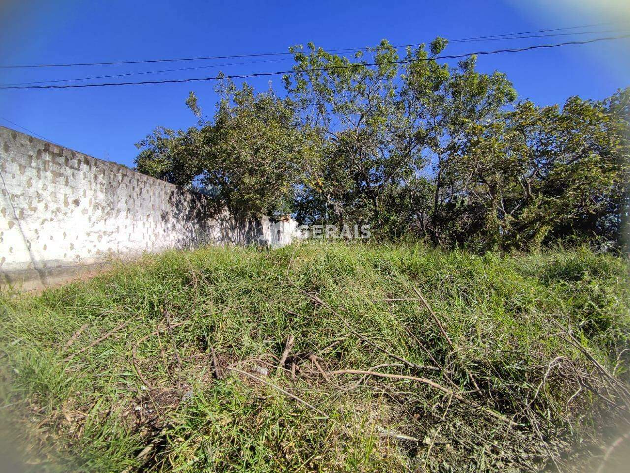 Lote à venda no SANTO ANTONIO DOS CAMPOS: 02- LOTE
