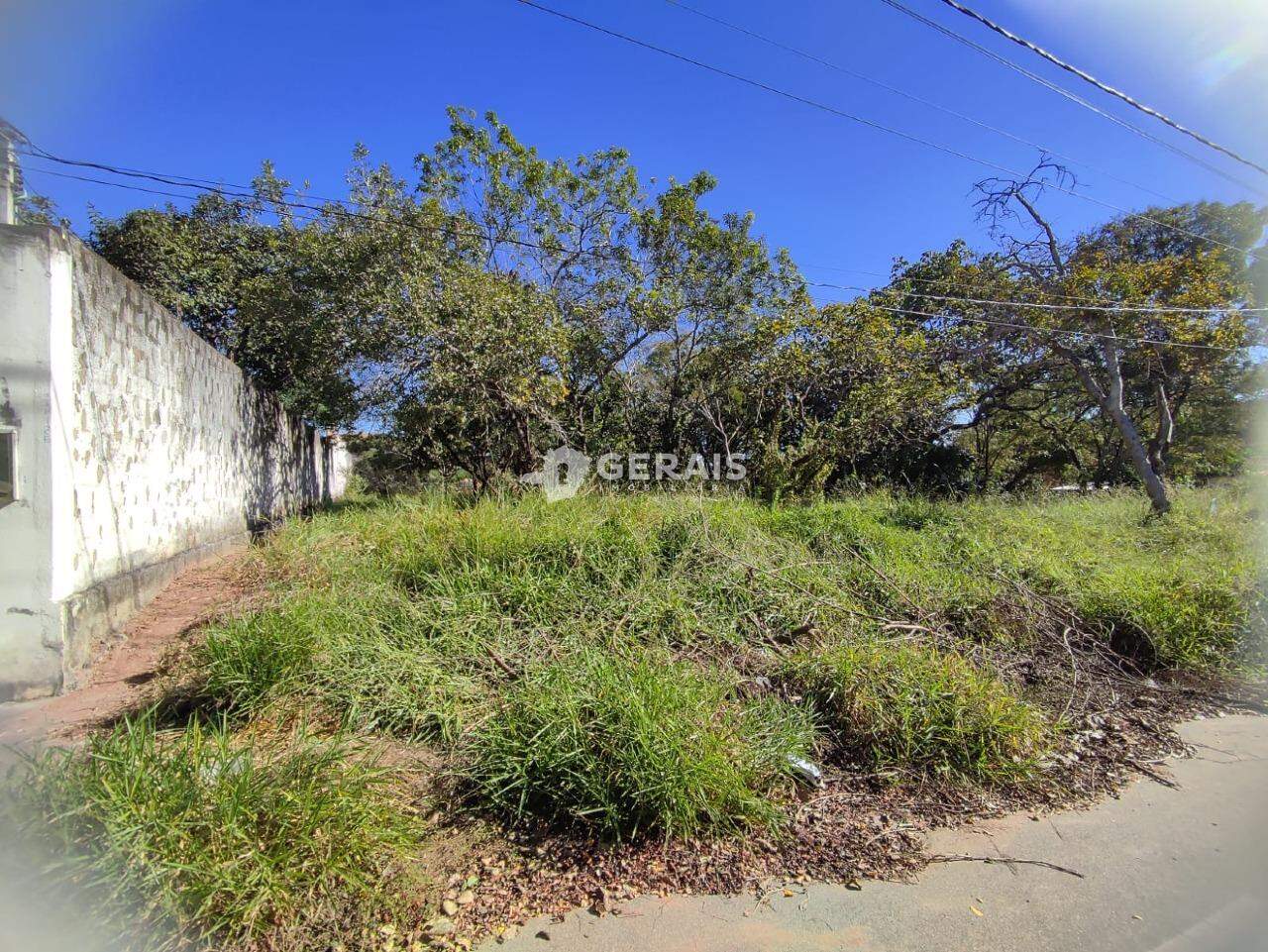 Lote à venda no SANTO ANTONIO DOS CAMPOS: 03- LOTE