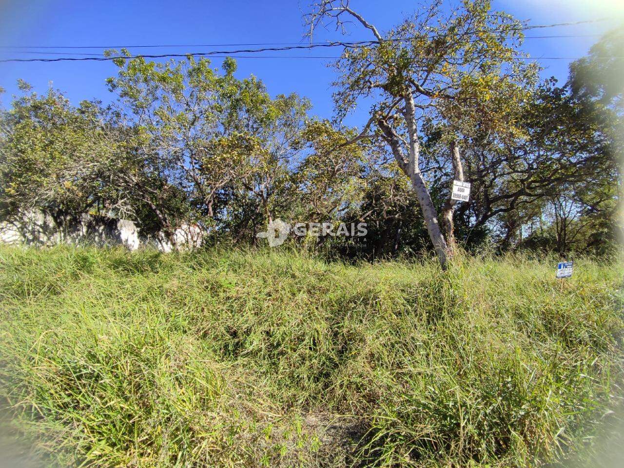 Lote à venda no SANTO ANTONIO DOS CAMPOS: 02- LOTE