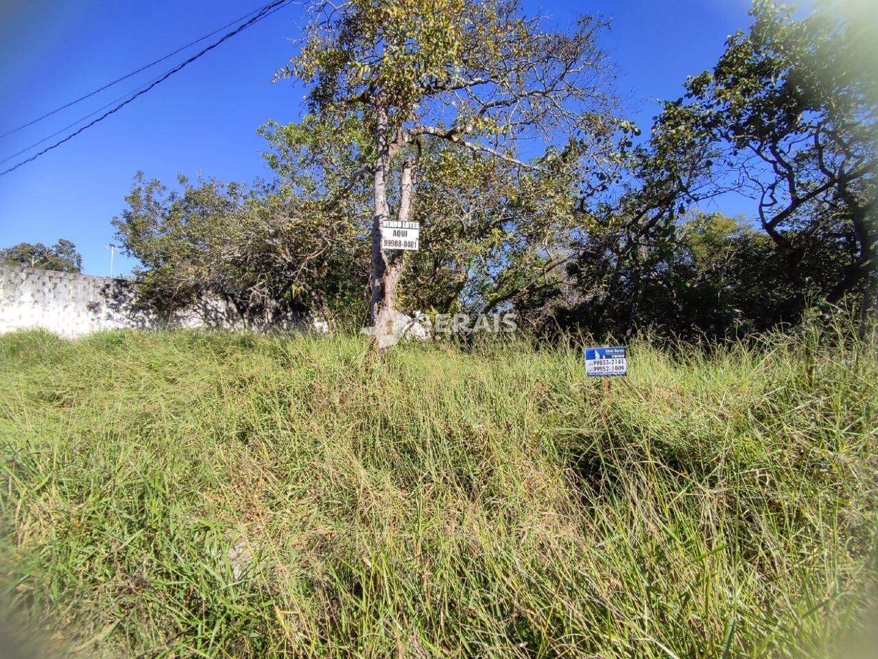 Lote à venda no SANTO ANTONIO DOS CAMPOS: 03- LOTE