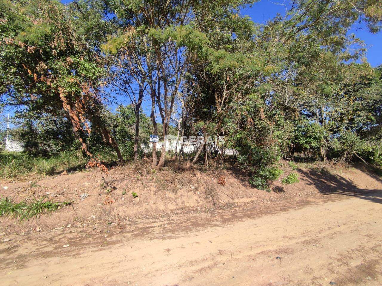 Lote à venda no ERMIDA: 01 - LOTE