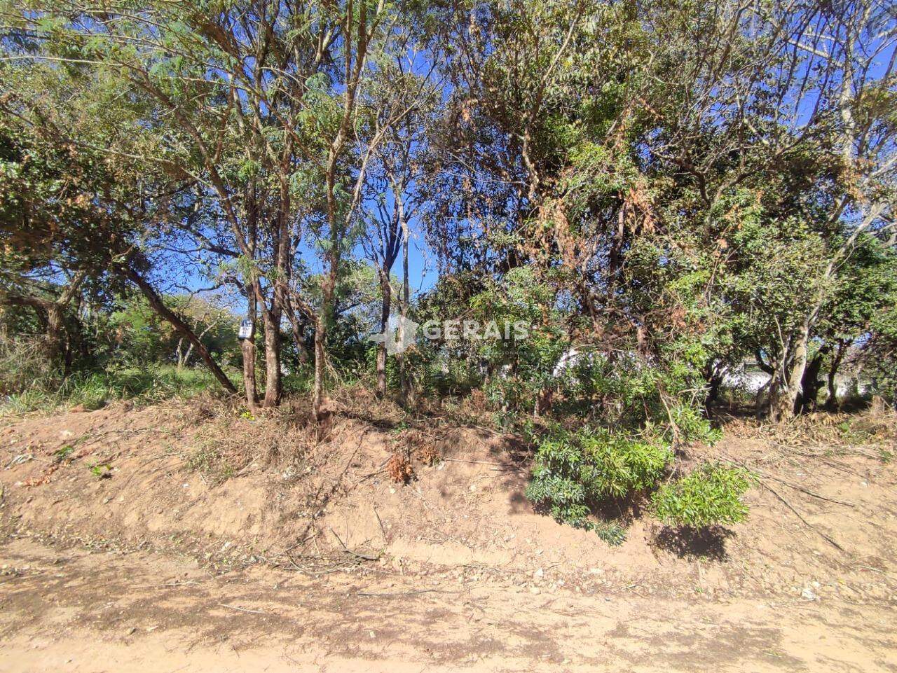 Lote à venda no ERMIDA: 02 - LOTE