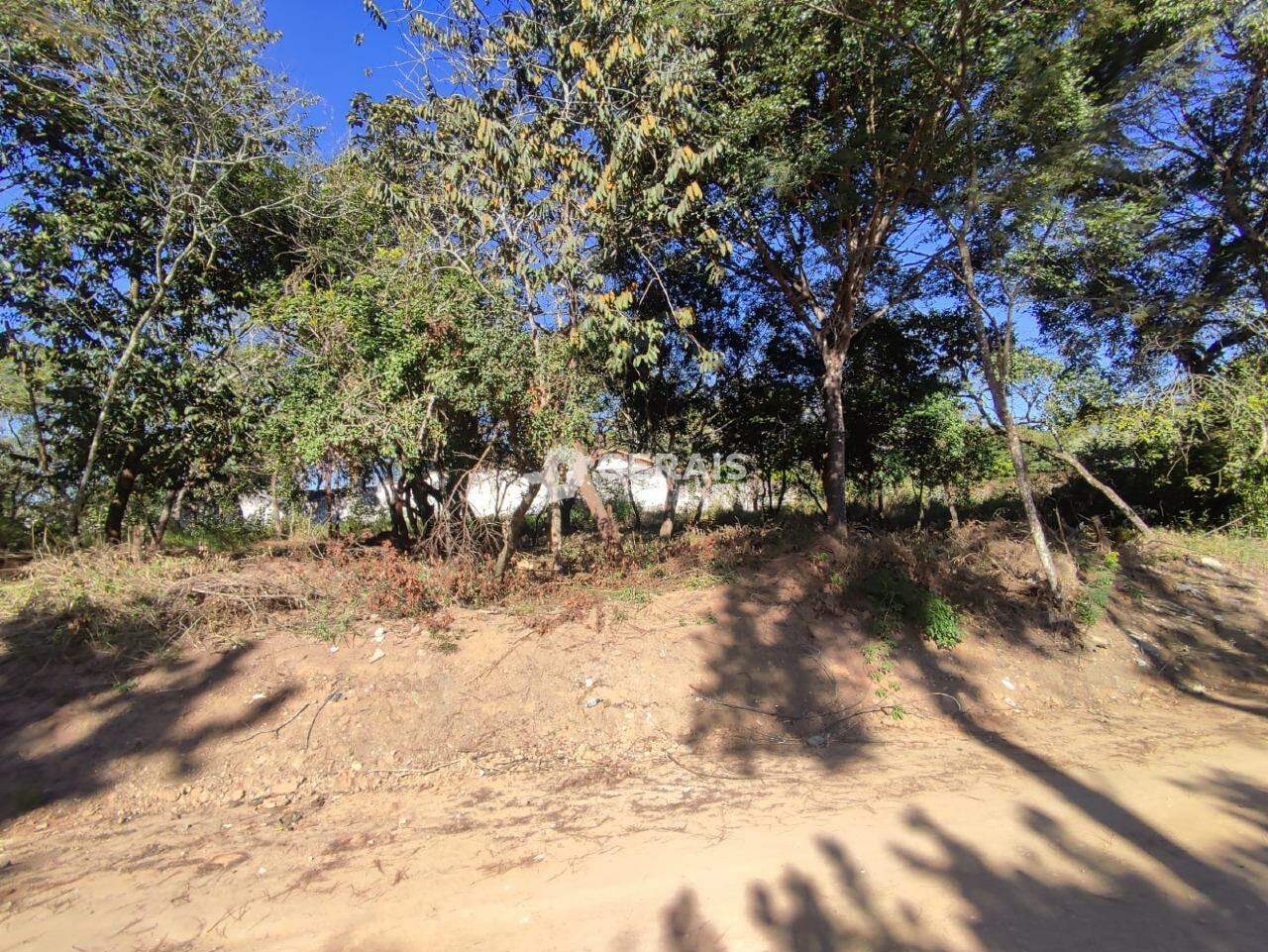 Lote à venda no ERMIDA: 02 - LOTE