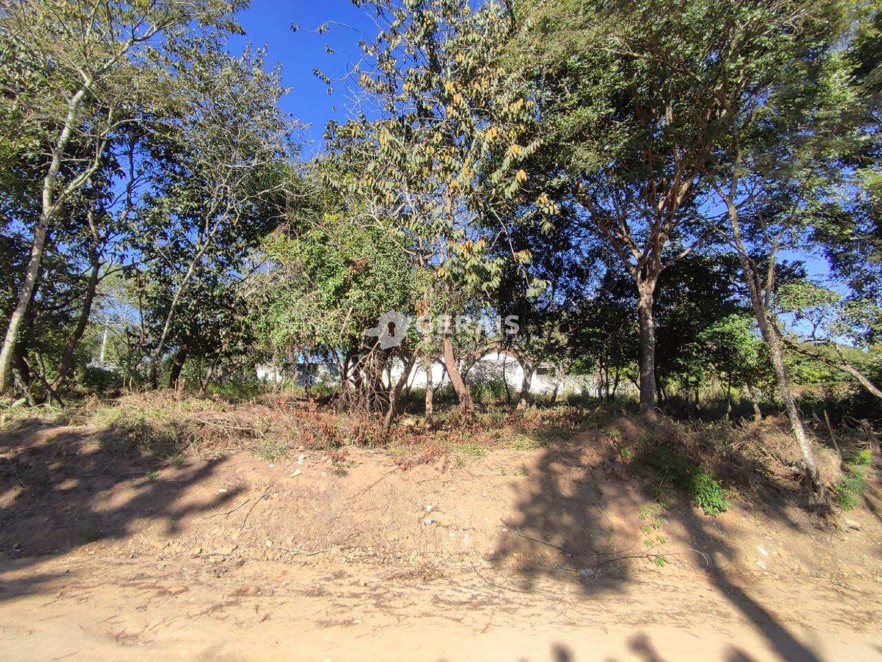 Lote à venda no ERMIDA: 01 - LOTE