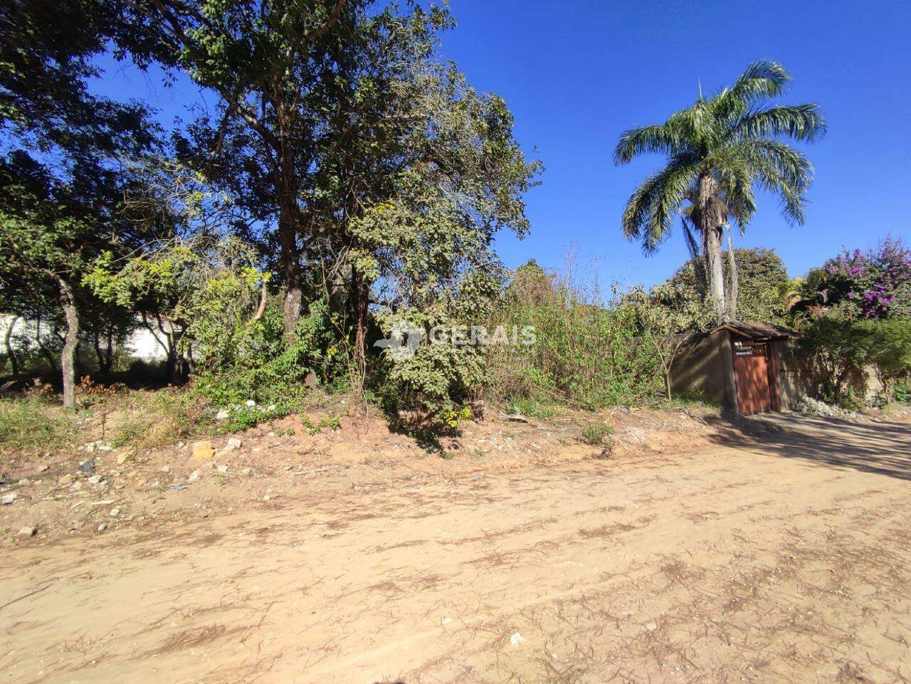 Lote à venda no ERMIDA: 02 - LOTE