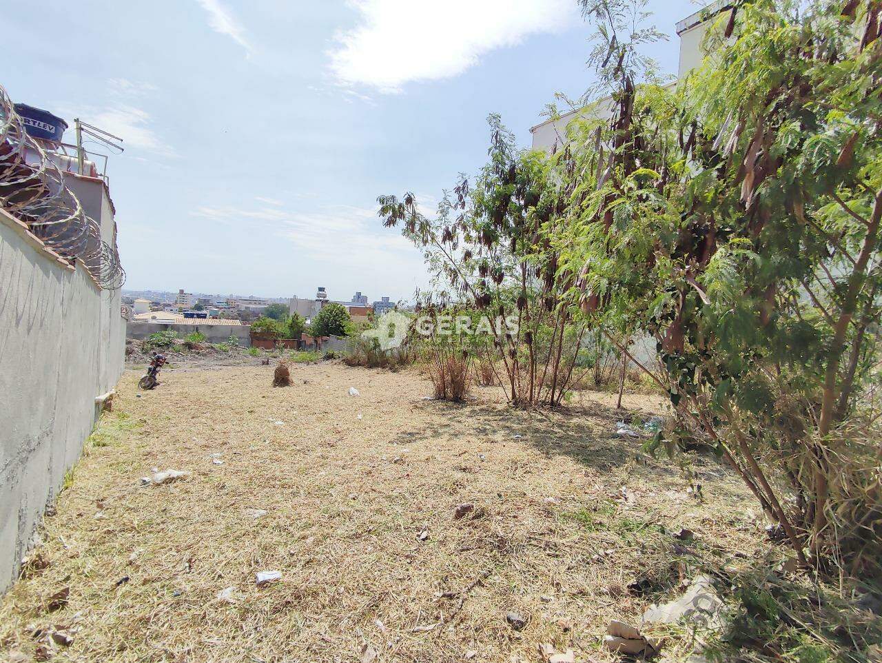 Lote à venda no BELA VISTA: 06- LOTE