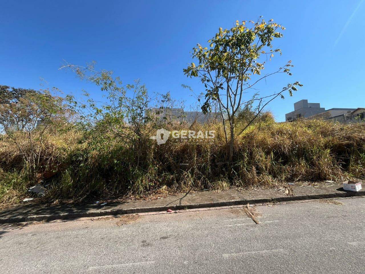 Lote à venda no BOM PASTOR: 01- LOTE