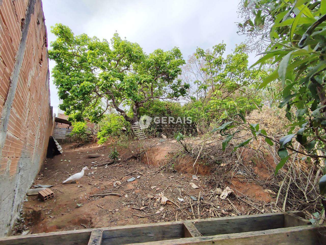 Lote à venda no ITACOLOMI: 04- LOTE