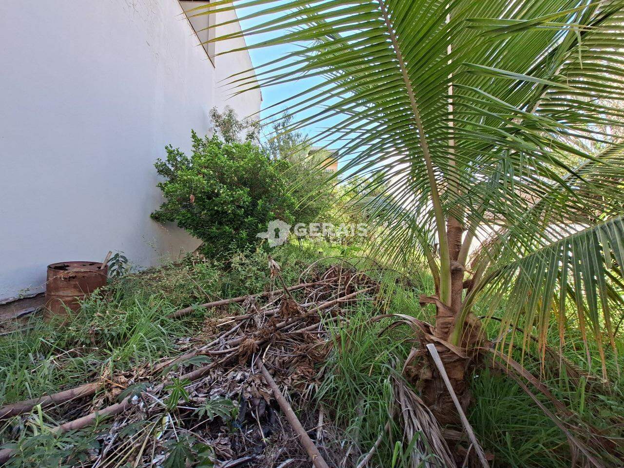 Lote à venda no BOM PASTOR: 04- LOTE